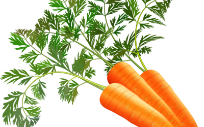 Варенье из моркови